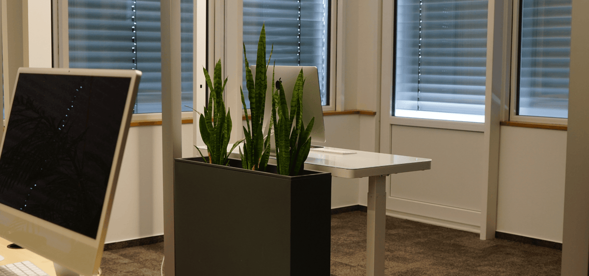 Hintergrundfoto eines modernen Büros mit Pflanzen, Monitoren und Fensterfront, das den professionellen Rahmen für datenbasierte Google-Ads-Strategien darstellt.